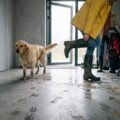 Mikrocement w przedpokoju i wiatrołapie: wytrzymałość na piasek i błoto